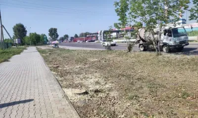 Иностранцы подозреваются в вырубке деревьев в микрорайоне Благовещенска