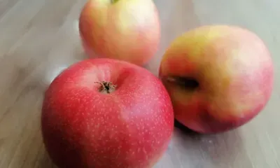 Яблочный Спас: «Пришел Спас - бери рукавицы про запас» 