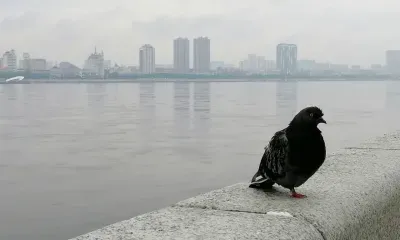 В Амурской области 27 августа облачно, кратковременный дождь 