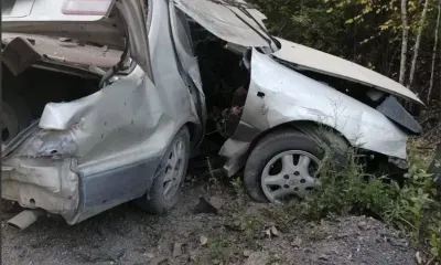 В Сковородинском округе иномарка врезалась в фонарный столб, водитель погиб