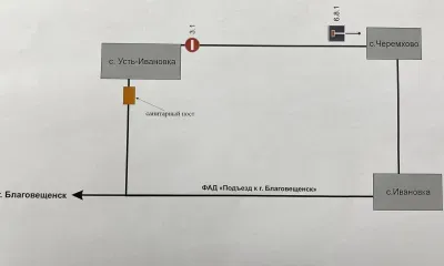 Дорогу перекрыли в Благовещенском округе после вспышки АЧС 