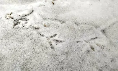 Снег выпал 1 сентября в российском регионе