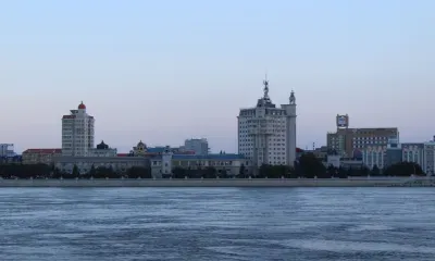 Африканскую саранчу выращивают китайские фермеры на границе с Благовещенском