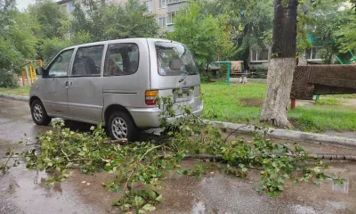 Западный циклон обрушит сильные ливни и ветер на Амурскую область 