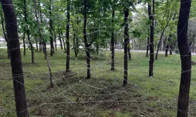 Дроны помогут искать пожилую амурчанку, пропавшую больше месяца назад