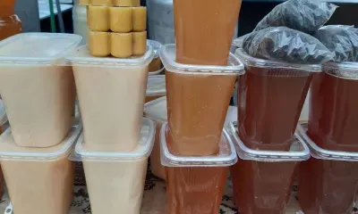 Одуванчиковый и хлопковый амурский мед экспортировали в Китай