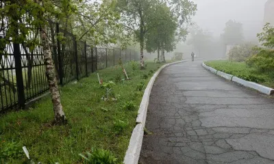 Китайские циклоны принесут Амурской области еще порцию дождей