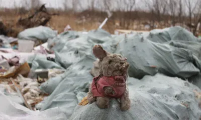Фотоловушки в Амурской области помогают борьбе со свалками