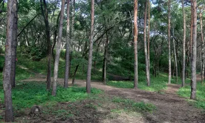 Артамон Змеевик: «Артамон последний раз змей на волю отпускает, а потом затворяет их в глубинах земных на замок»