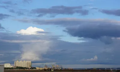 Молния убила стадо овец в Алтайском крае 