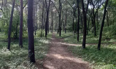 Поле для мини-футбола и теннисный корт появятся в Сковородине
