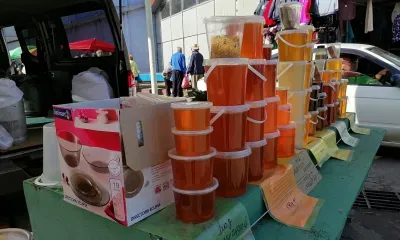 Трофим и Зосима: «На Трофима не проходит счастье мимо: куда Трофим, туда и оно за ним»