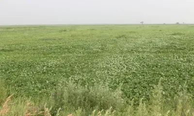 Границы участков определяют комплексно в Амурской области