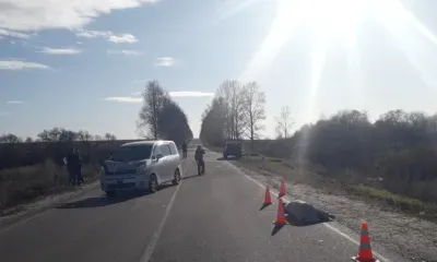 Машина насмерть сбила пешехода, внезапно вышедшего на дорогу в Серышевском округе