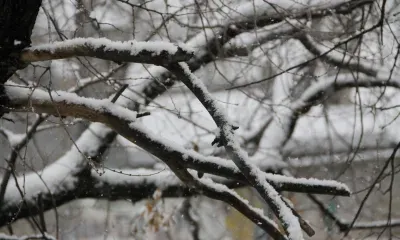 Переменная облачность, местами мокрый снег в Амурской области