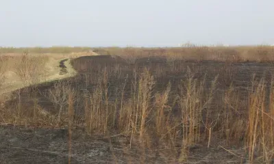 Сухая трава горела в шести муниципалитетах Амурской области