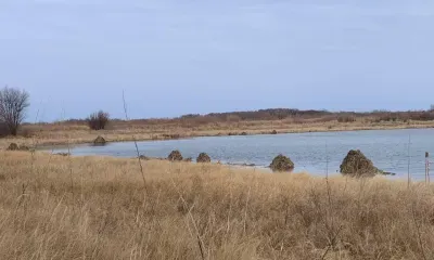 Ондатры в Амурской области подготовили свои хатки к зиме