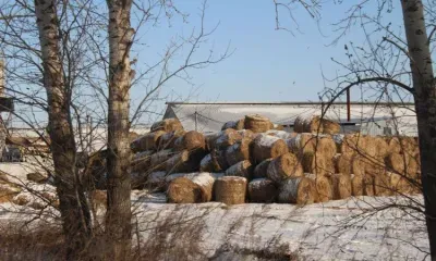 На Осия Колесника гадали об урожае по последнему скрипу колес 