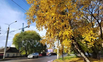 Ноябрьские праздники могут стать для россиян хорошей возможностью для перезагрузки
