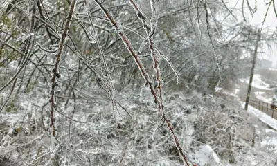Самый мощный за полвека ураган обрушился на Сибирь