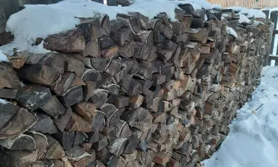 Компенсацию за покупку дров получат несколько категорий россиян