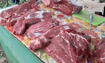 Головы косуль изъяли у охотников в Магдагачинском районе 