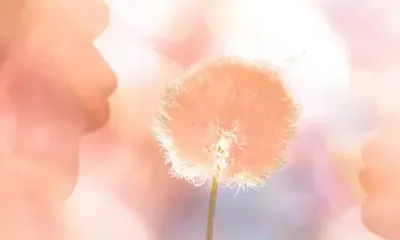 Теплый и уютный: объявлен главный цвет 2024 года