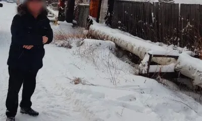 Мужчина выстрелил в собаку в квартире пенсионерки из Зеи