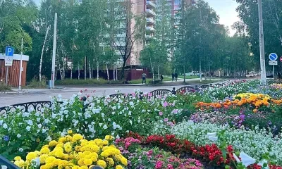 Жители Тынды выбрали территорию для благоустройства на 2024 год