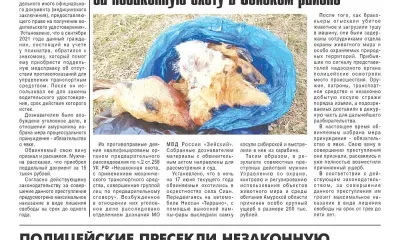 Поддельный документ привел амурчанина на скамью подсудимых
