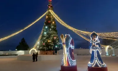Небольшой снег пройдет местами в Амурской области 2 января 