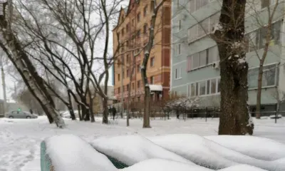 Небольшой снег пройдет по востоку Амурской области 8 февраля