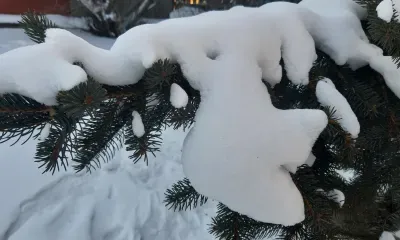 Cнегопады и потепление принесет циклон в Приамурье
