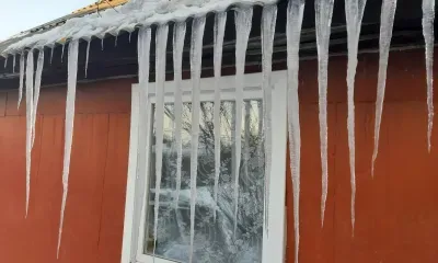 Температуры выше нормы ожидаются в Амурской области