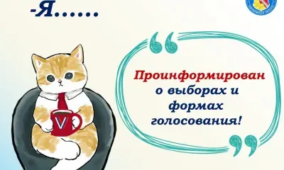 Мотиваторы с котятами создали для избирателей
