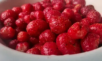 Дверь, варенье и шахматы дарили женщинам 8 Марта