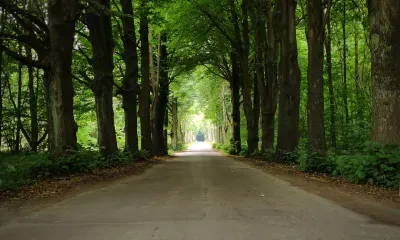 Посещение леса на майские праздники могут ограничить в Амурской области