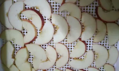 Яблоки для участников СВО сушат жители Мазановского района