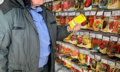 Семена гороха, томата и капусты, не включенные в реестр, выявили в Приамурье