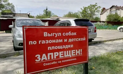 Дворы и парки будут содержать по стандарту в Амурской области