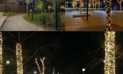 Панно и арт-объекты украсят Тынду к юбилею БАМа