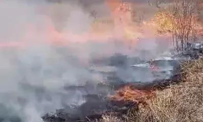 Особый противопожарный режим введут в Благовещенске и Благовещенском округе