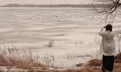 Стая из 100 цапель приземлилась на водоем в Тамбовском округе