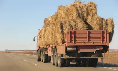 Дороги закроют для большегрузов 1 апреля в Амурской области