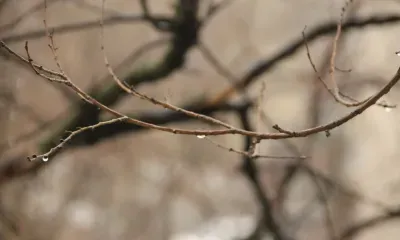Сильные осадки в виде дождя и мокрого снега пройдут в Амурской области 12 апреля