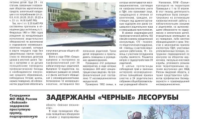 Неблагополучных родителей поставили на учет в Амурской области