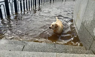Резкое похолодание ожидает подтопленные регионы
