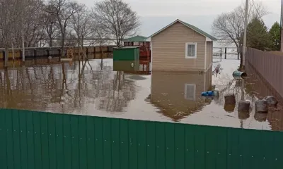 Вода зашла на дачные участки и в подполье домов в Благовещенском округе