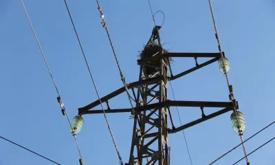 Два месяца потребуется на восстановление электроснабжения в амурском селе
