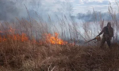 Природные пожары тушат на севере Амурской области